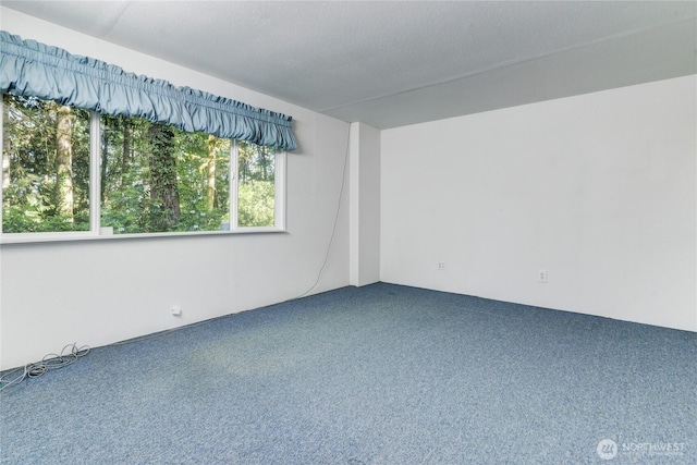 141 W Marvin Way, Shelton, WA 98584 - photo 15