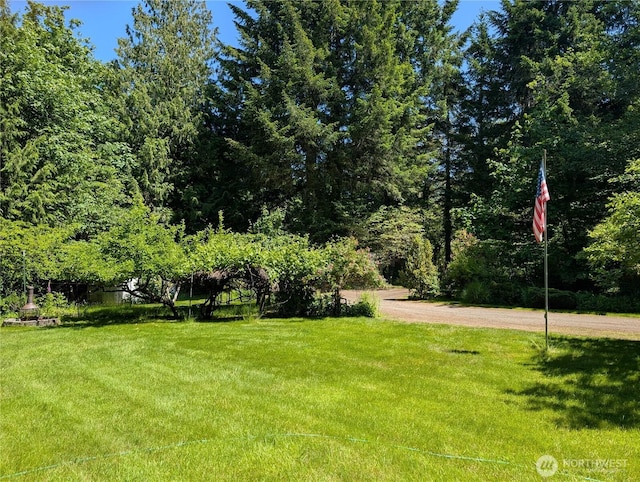 141 W Marvin Way, Shelton, WA 98584 - photo 23