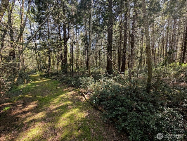 141 W Marvin Way, Shelton, WA 98584 - photo 33