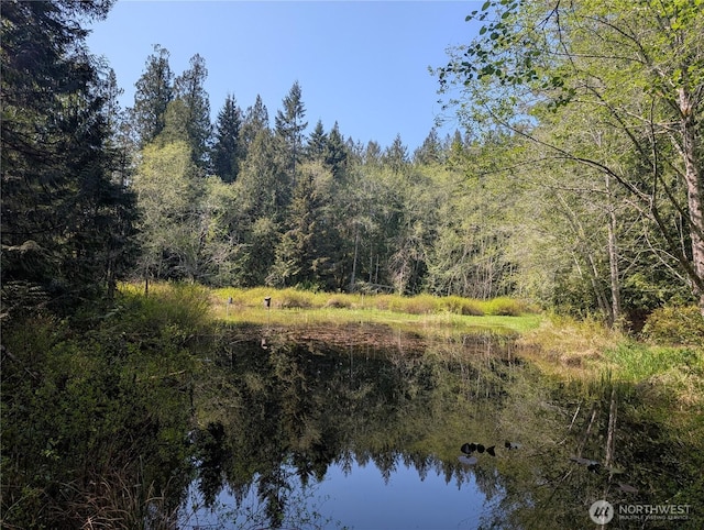 141 W Marvin Way, Shelton, WA 98584 - photo 36