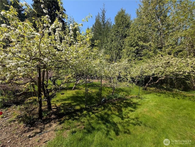 141 W Marvin Way, Shelton, WA 98584 - photo 30