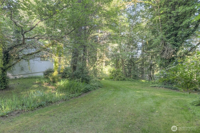 141 W Marvin Way, Shelton, WA 98584 - photo 31