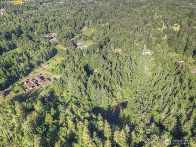 141 W Marvin Way, Shelton, WA 98584 - photo 38