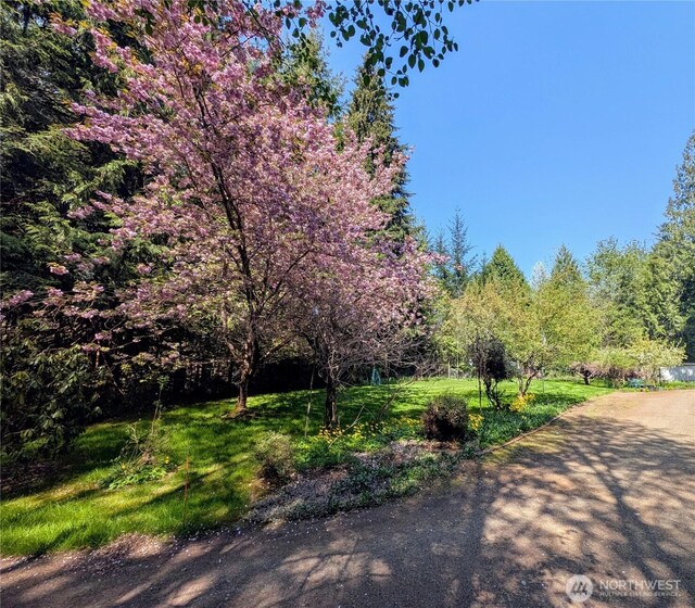 141 W Marvin Way, Shelton, WA 98584 - photo 28