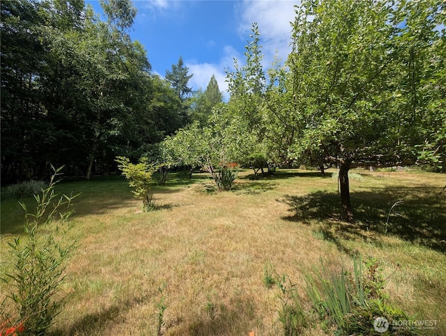 141 W Marvin Way, Shelton, WA 98584 - photo 29