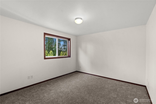 4843 148th St NE, Marysville, WA 98271 - photo 20