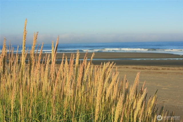 1421 S Cohasset Crst, Westport, WA 98595 - water view
