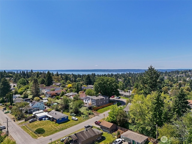 10040 19th Ave SW, Seattle, WA 98146 - aerial view of residential area featuring a nearby body of water