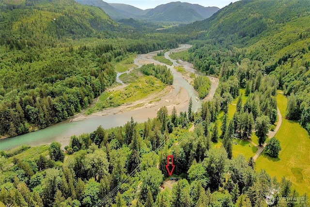 6098 Mt Baker Hwy, Deming, WA 98244 - drone / aerial view of a heavily wooded area and a water and mountain view