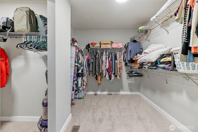 13317 SE 261st Pl, Kent, WA 98042 - photo 30