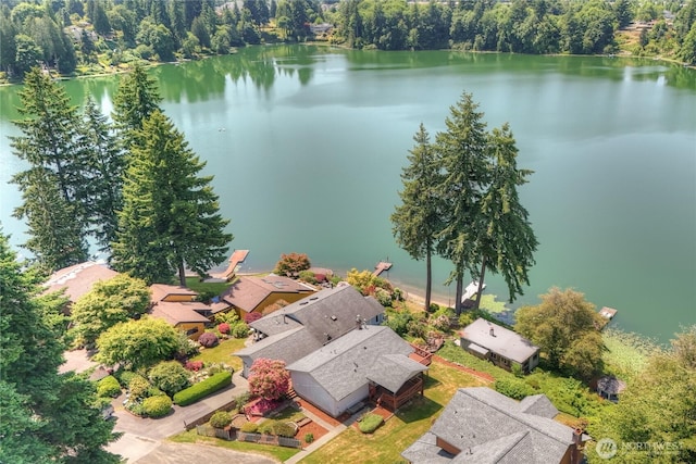 4103 Ward Lake Ct SE, Olympia, WA 98501 - bird's eye view of a large body of water