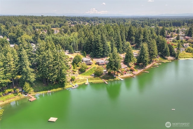 4103 Ward Lake Ct SE, Olympia, WA 98501 - bird's eye view of a forest and a nearby body of water