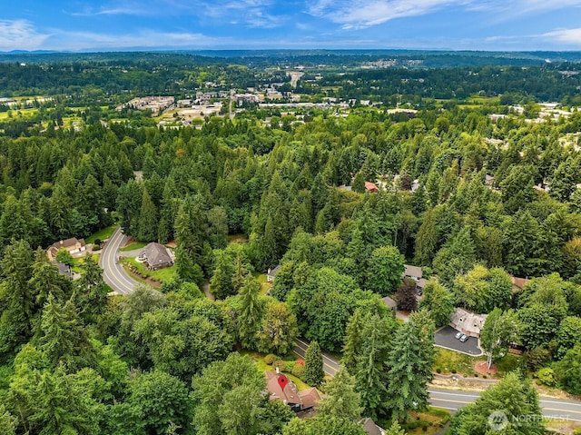 14919 NE 177th Dr, Woodinville, WA 98072 - photo 35