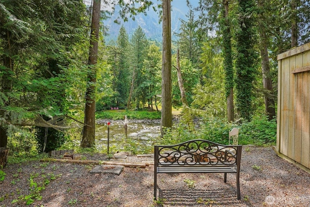 44725 SE 71st St, Snoqualmie, WA 98065 - photo 33