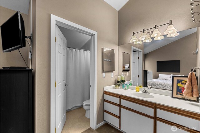 8903 Crescent Bar Rd NW Unit 18, Quincy, WA 98848 - full bathroom featuring toilet, vanity, vaulted ceiling, a shower with shower curtain, and ensuite bathroom