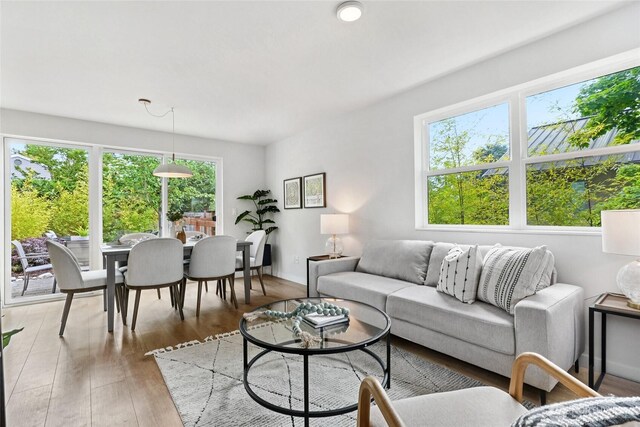 6014 40th Ave NE Unit B, Seattle, WA 98115 - living area with light wood-style floors