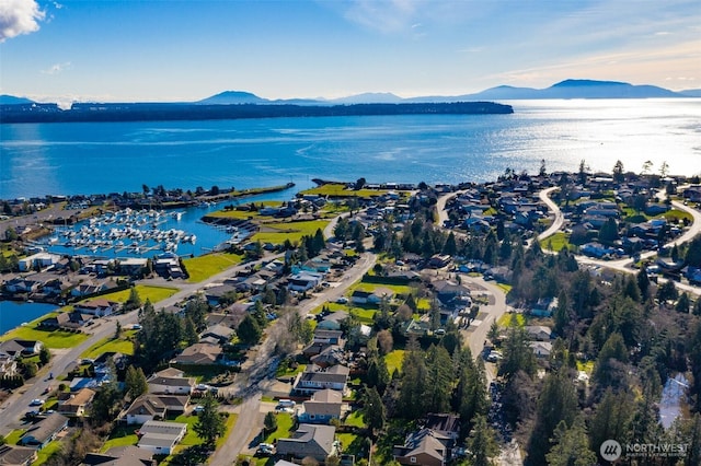 8054 Makah Rd, Birch Bay, WA 98230 - aerial view of property's location featuring a water and mountain view