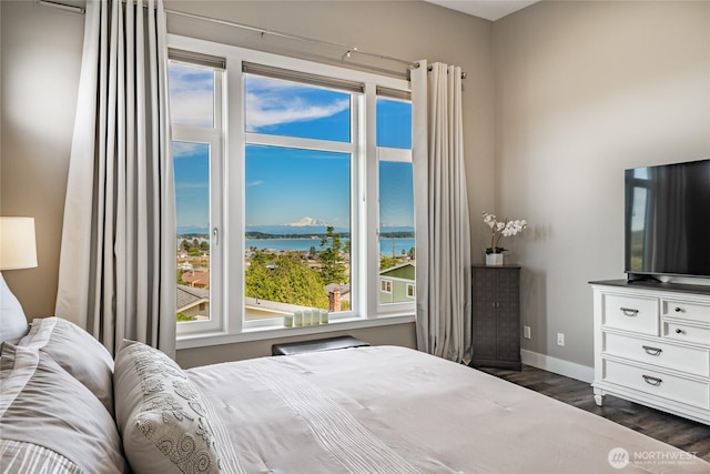 8054 Makah Rd, Birch Bay, WA 98230 - bedroom featuring dark wood-style floors and baseboards