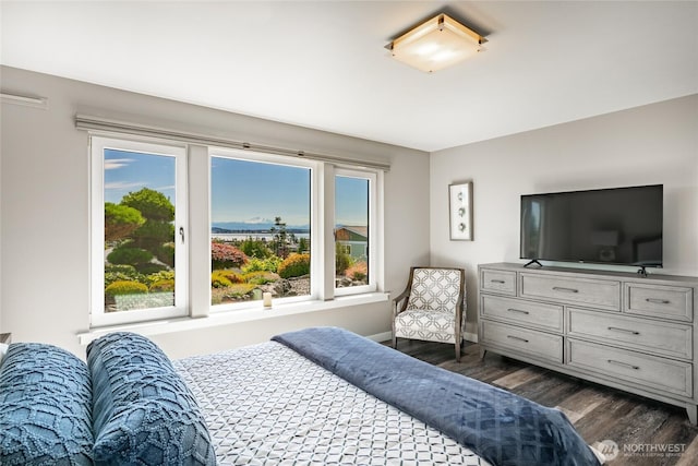8054 Makah Rd, Birch Bay, WA 98230 - bedroom featuring dark wood finished floors and baseboards