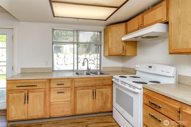 28312 22nd Ave S, Federal Way, WA 98003 - kitchen with electric stove, under cabinet range hood, a sink, light countertops, and light wood-style flooring