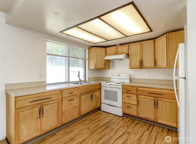 28312 22nd Ave S, Federal Way, WA 98003 - kitchen with white appliances, a sink, under cabinet range hood, light wood-style flooring, and light countertops