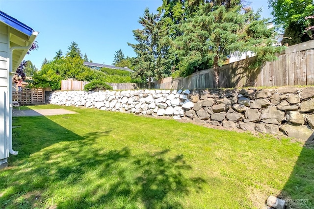 28312 22nd Ave S, Federal Way, WA 98003 - view of yard