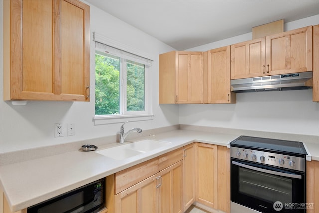 8223 Paine St SW, Lakewood, WA 98499 - photo 13