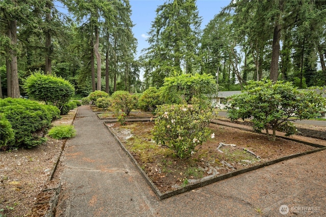 8223 Paine St SW, Lakewood, WA 98499 - photo 32