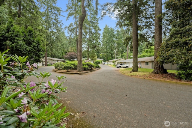 8223 Paine St SW, Lakewood, WA 98499 - photo 33