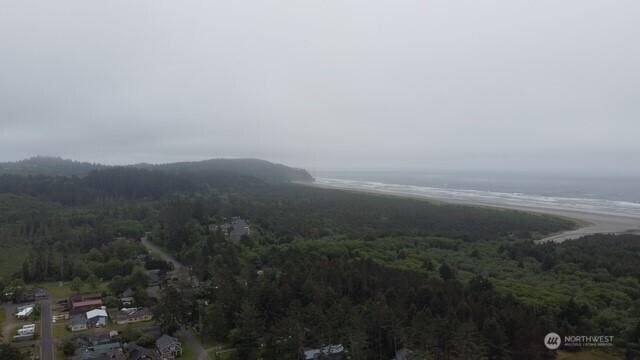 3504 L Pl, Seaview, WA 98644 - view of mountain backdrop featuring a forest