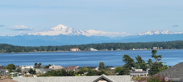 8068 Niska Rd, Blaine, WA 98230 - water view featuring a mountainous background and a forest