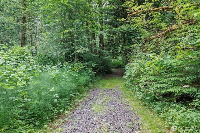 0 212th St SE, Snohomish, WA 98296 - photo 4