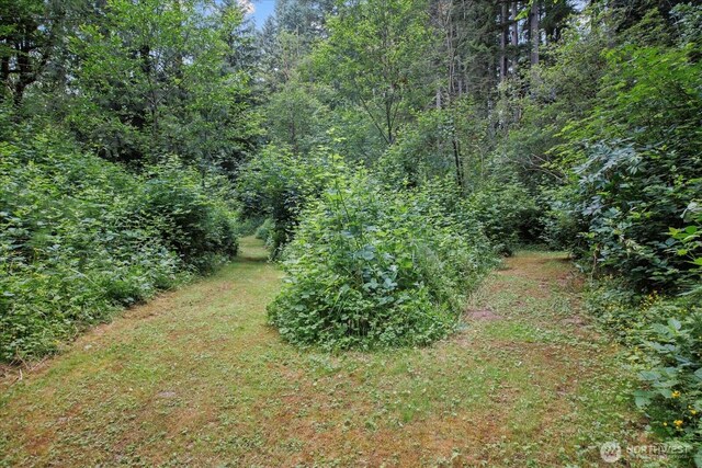 0 212th St SE, Snohomish, WA 98296 - photo 7