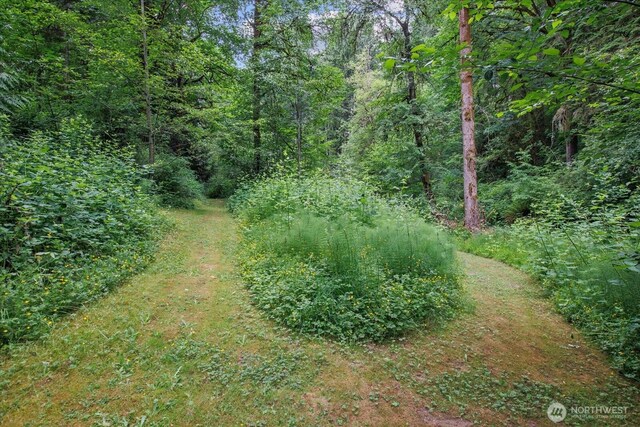 0 212th St SE, Snohomish, WA 98296 - photo 9