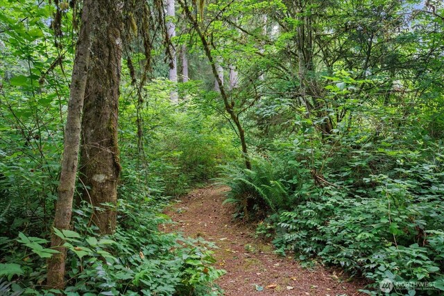 0 212th St SE, Snohomish, WA 98296 - photo 15