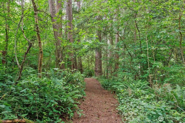 0 212th St SE, Snohomish, WA 98296 - photo 16