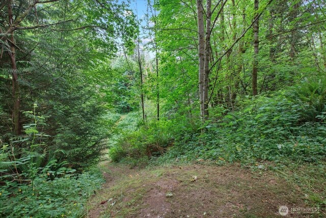 0 212th St SE, Snohomish, WA 98296 - photo 19