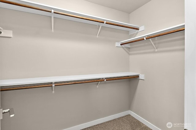 812 Bodie Ct SE, Lacey, WA 98513 - spacious closet featuring carpet flooring