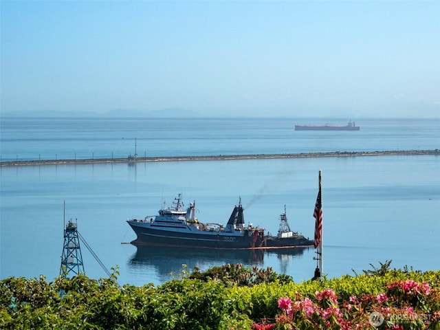 13151/2 W 5th St, Port Angeles, WA 98363 - water view