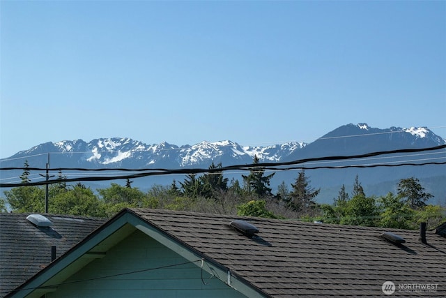 13151/2 W 5th St, Port Angeles, WA 98363 - view of mountain background