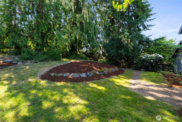 30117 42nd Pl S, Auburn, WA 98001 - view of green lawn