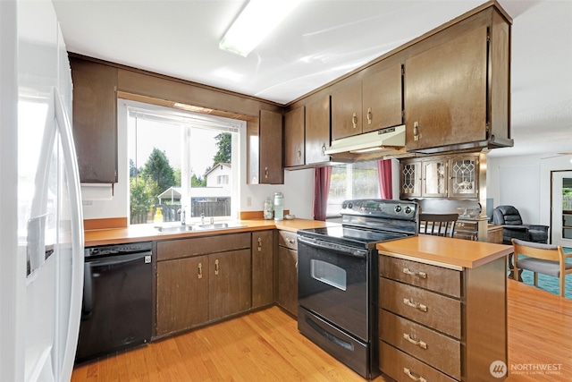 10610-10608 109th St SW, Lakewood, WA 98498 - kitchen with black appliances, a sink, under cabinet range hood, light wood-type flooring, and light countertops