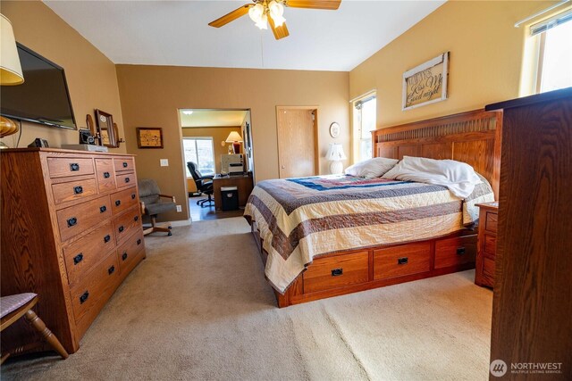 419 Fairview Ave, Bridgeport, WA 98813 - photo 9