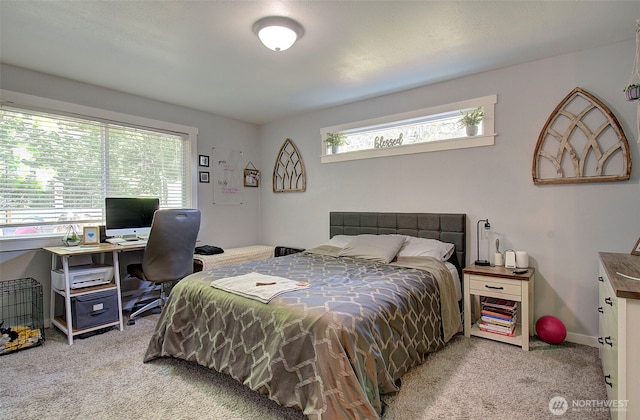10012 NE 39th St, Vancouver, WA 98662 - bedroom with carpet flooring, an office area, and baseboards
