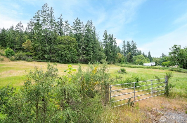9222 Cramer Rd NW, Gig Harbor, WA 98329 - photo 3