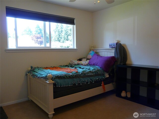 107 Candlewyck Dr W, Lakewood, WA 98499 - photo 28