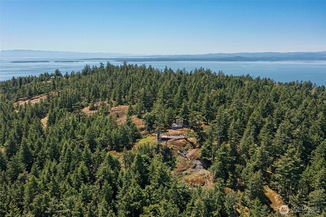 2001 Mount Dallas Rd, Friday Harbor, WA 98250