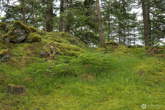 2001 Mount Dallas Rd, Friday Harbor, WA 98250