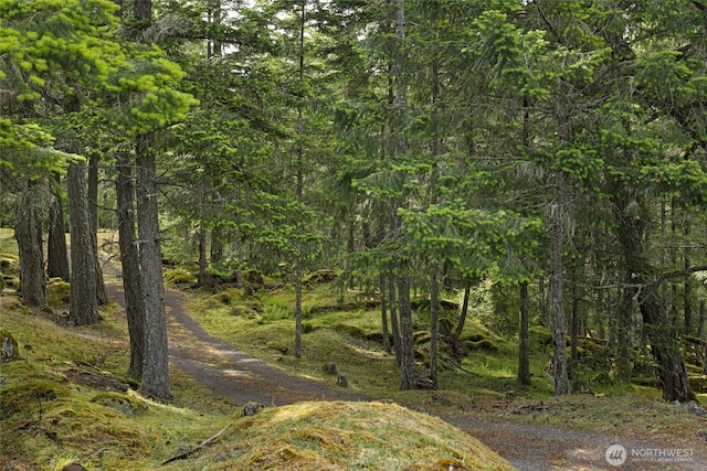 2001 Mount Dallas Rd, Friday Harbor, WA 98250