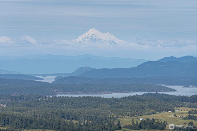 2001 Mount Dallas Rd, Friday Harbor, WA 98250